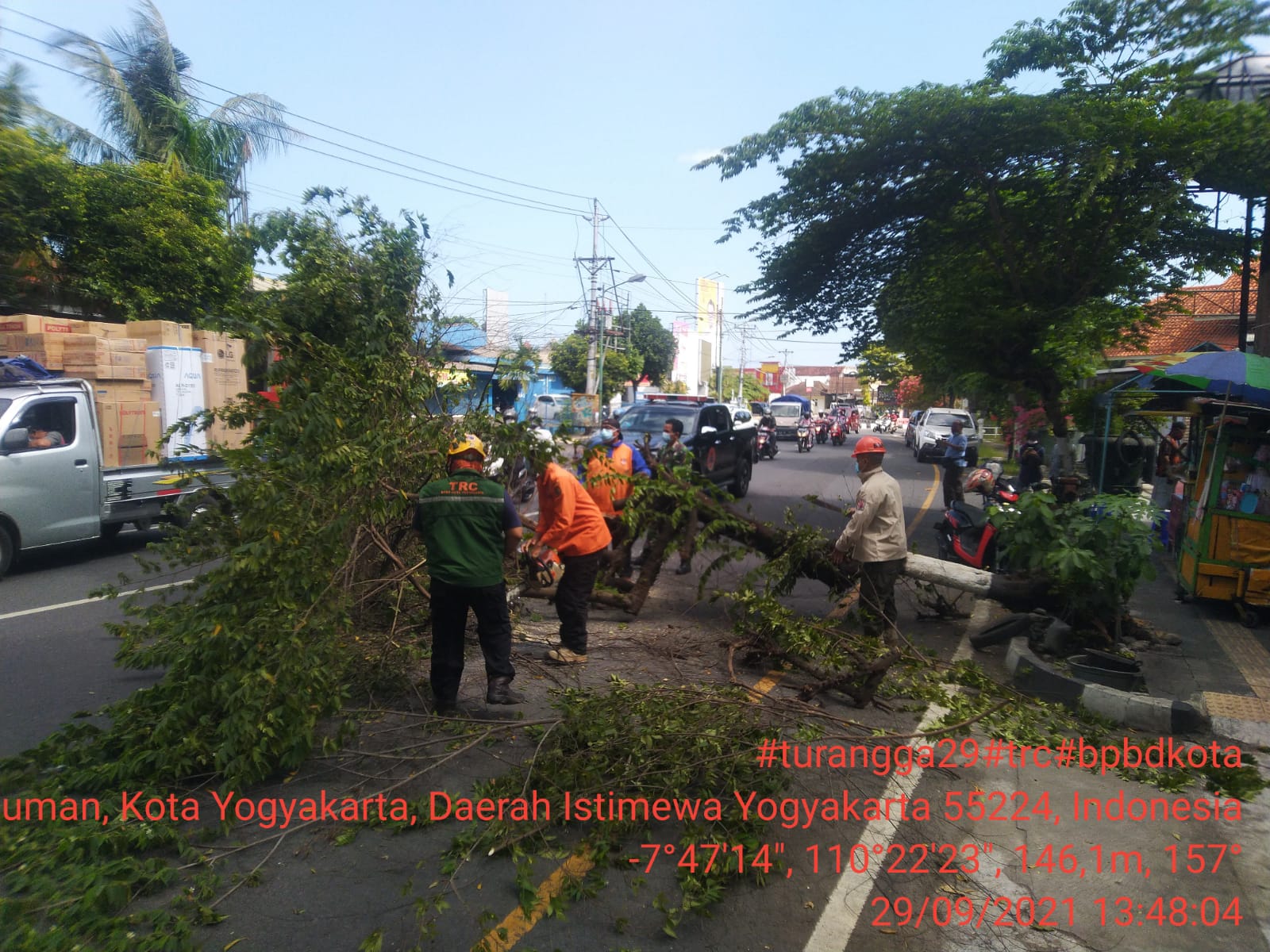 Pohon tumbang di Jl. Yos Sudarso Kotabaru