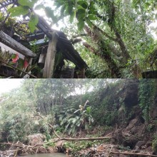 Pohon Tumbang di Jl. Jambon dan Tebing Ambrol di Tompeyan